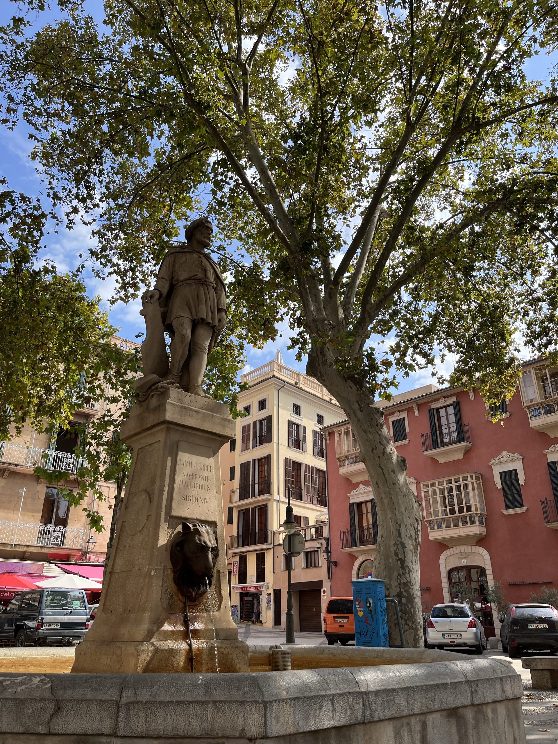 Alter Baum auf einem Platz in Palma de Mallorca