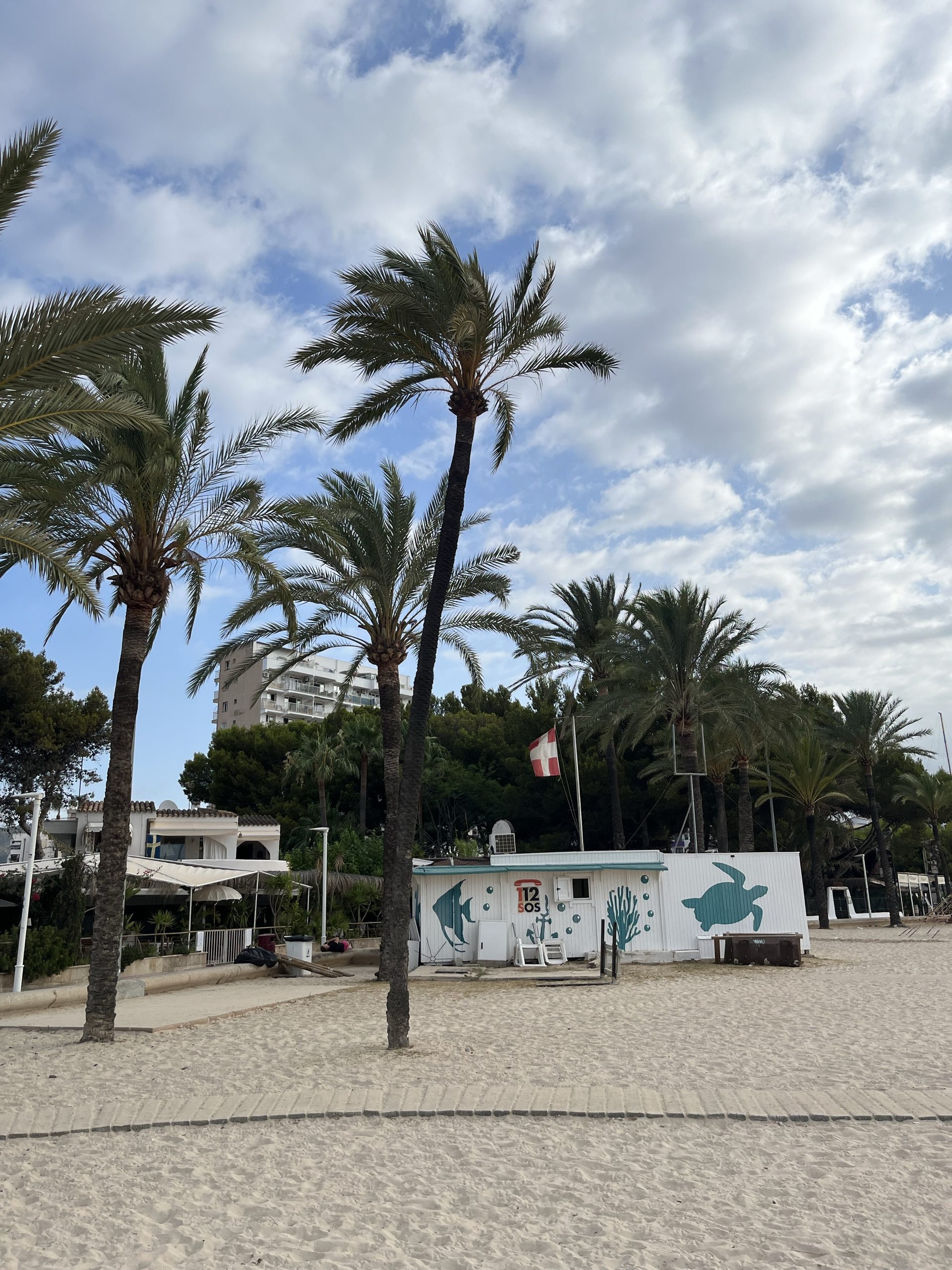 Sandstrand mit Palmen und Strandbar auf Mallorca