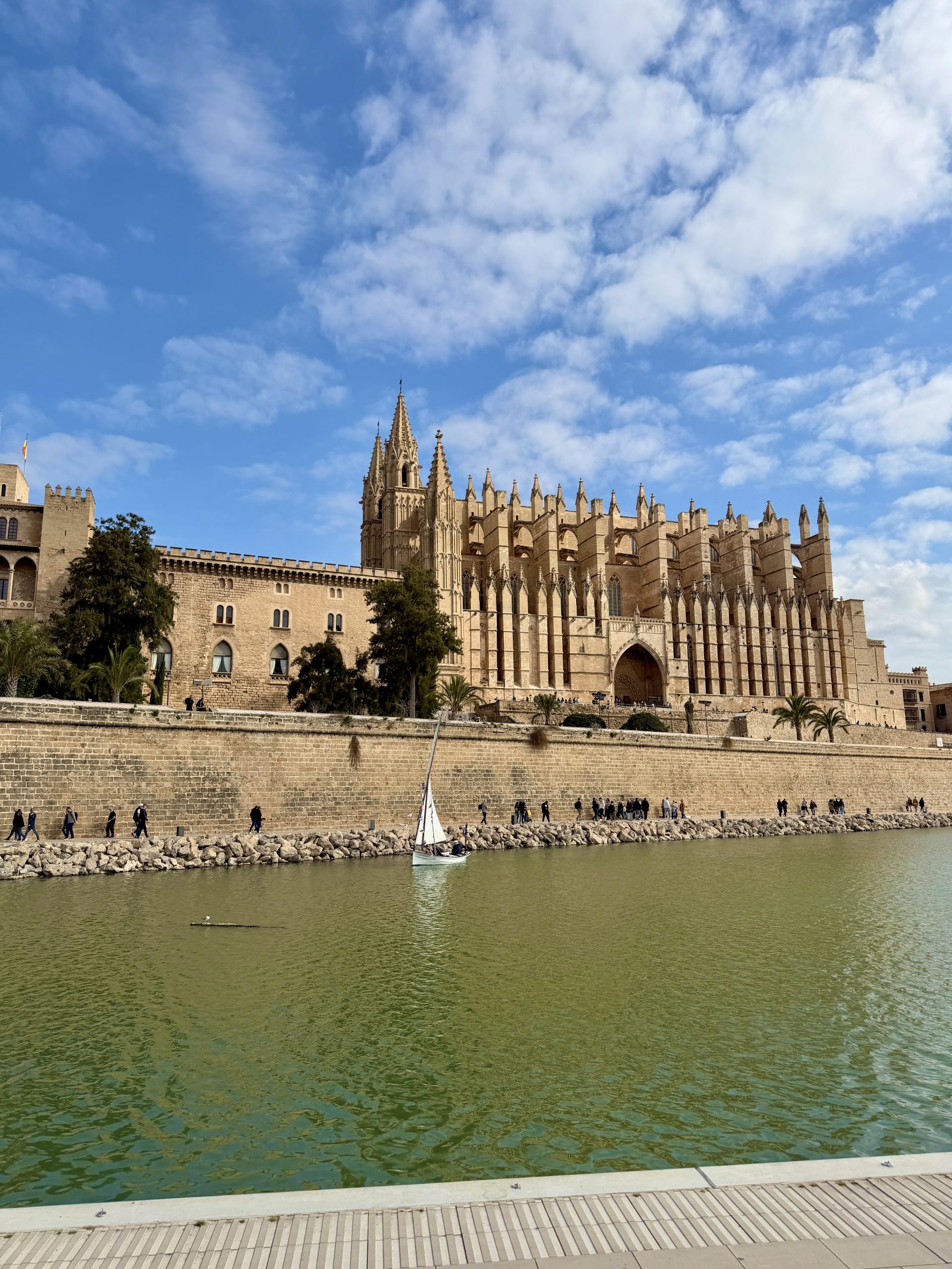 La Seu am Parc de la Mar in Palma